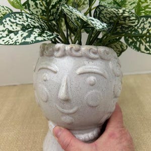 May include: A white ceramic planter shaped like a face, holding a green plant with white speckled leaves. The planter has a textured surface and a pedestal base. The plant has dark green and light green leaves.