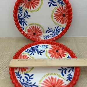 Pu&ograve; includere: Due piatti decorativi in ceramica con bordo smerlato rosso. I piatti presentano uno sfondo bianco con un motivo floreale rosso, blu e verde. Un righello di legno poggia su un piatto.