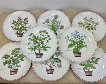 Vintage Homer Laughlin 8 Inch Herb/Spice Plates, Sage Plate, Mustard Plant Plate, Lovage Plant Plate, Dill Plant Plate, Basil Plant Plate