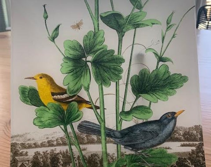 Glass Bird Themed Tray From Fringe Studio, Glass Trinket Tray