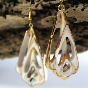 Vintage, Natural Sea Shell Earring with 24K Gold Plated Edge image 3