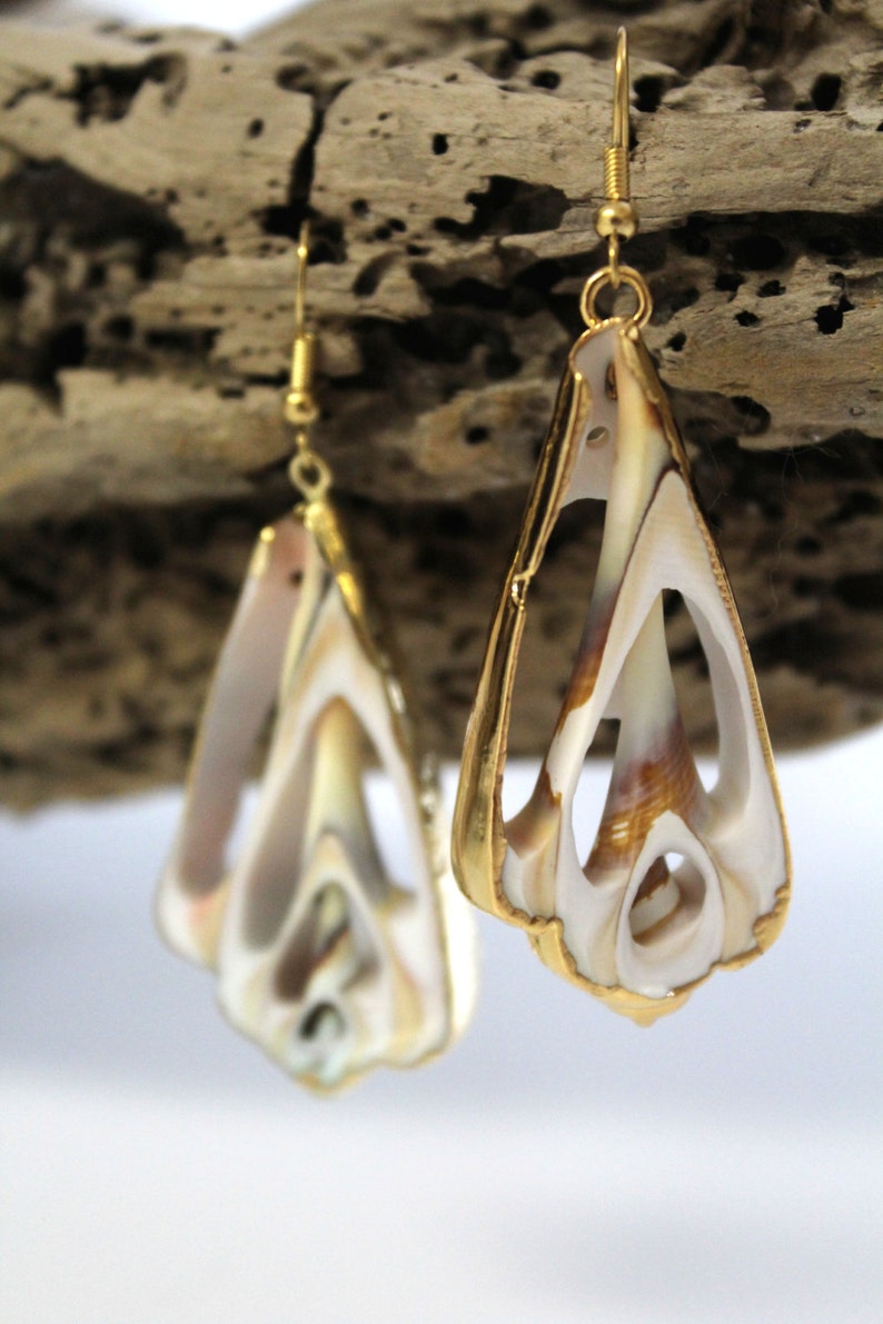 Vintage, Natural Sea Shell Earring with 24K Gold Plated Edge image 3