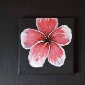 VERKOCHT Roze Hibiscus