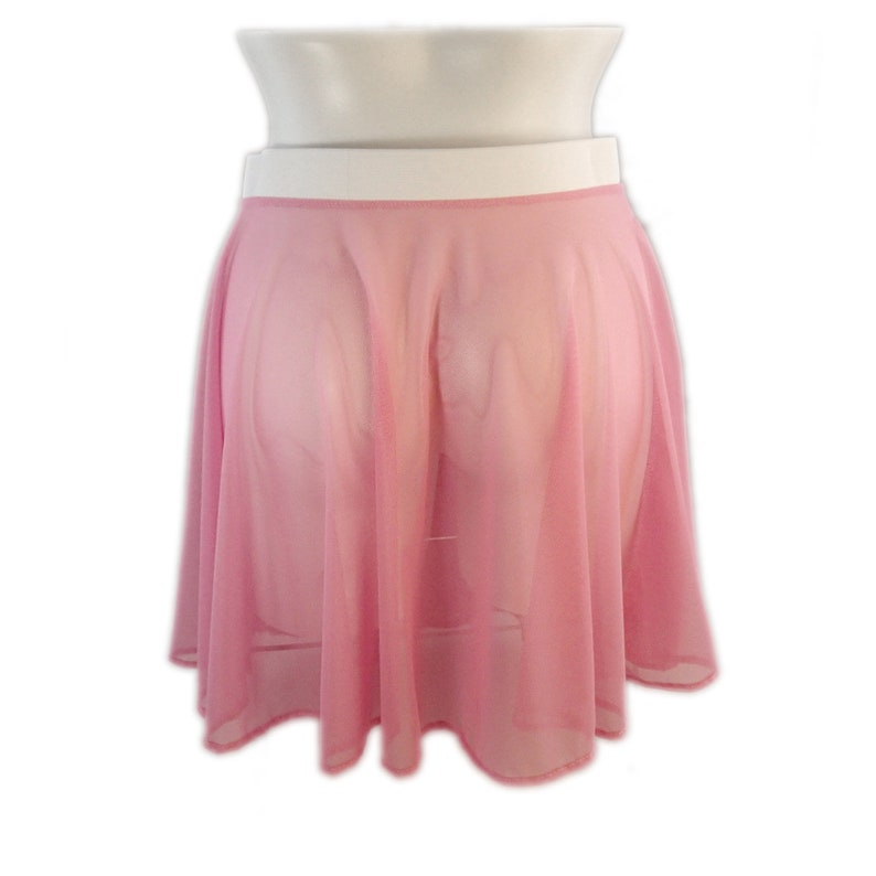 PrittenPaws Pure Sheer Skirt See through Mesh Sexy tutu | Etsy