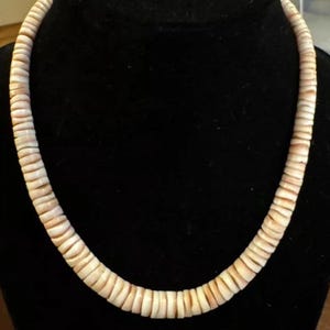 Rare Santo Domingo Vintage Natural Heishi Queen Conch Shell Choker Unisex Necklace 16" Surfer Beach Native American