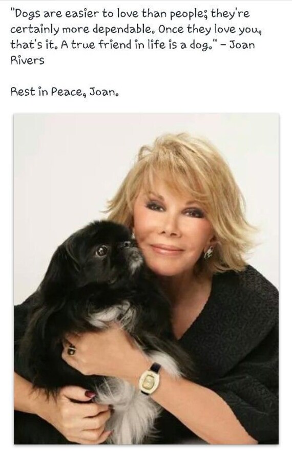 Joan Rivers Dog Rare JOAN RIVERS Fu Dog Designer Signed Figural Foo B… - Gem