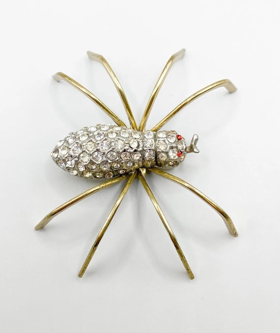 1880/1900 bubble spider charm-germany  Spider jewelry, Jewelry lookbook,  Insect jewelry