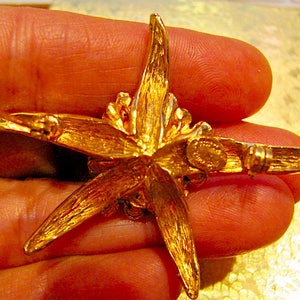 May include: A gold-toned starburst brooch with a textured surface. The brooch has five pointed rays and a central design. The back of the brooch features a pin clasp and a small, circular maker's mark.
