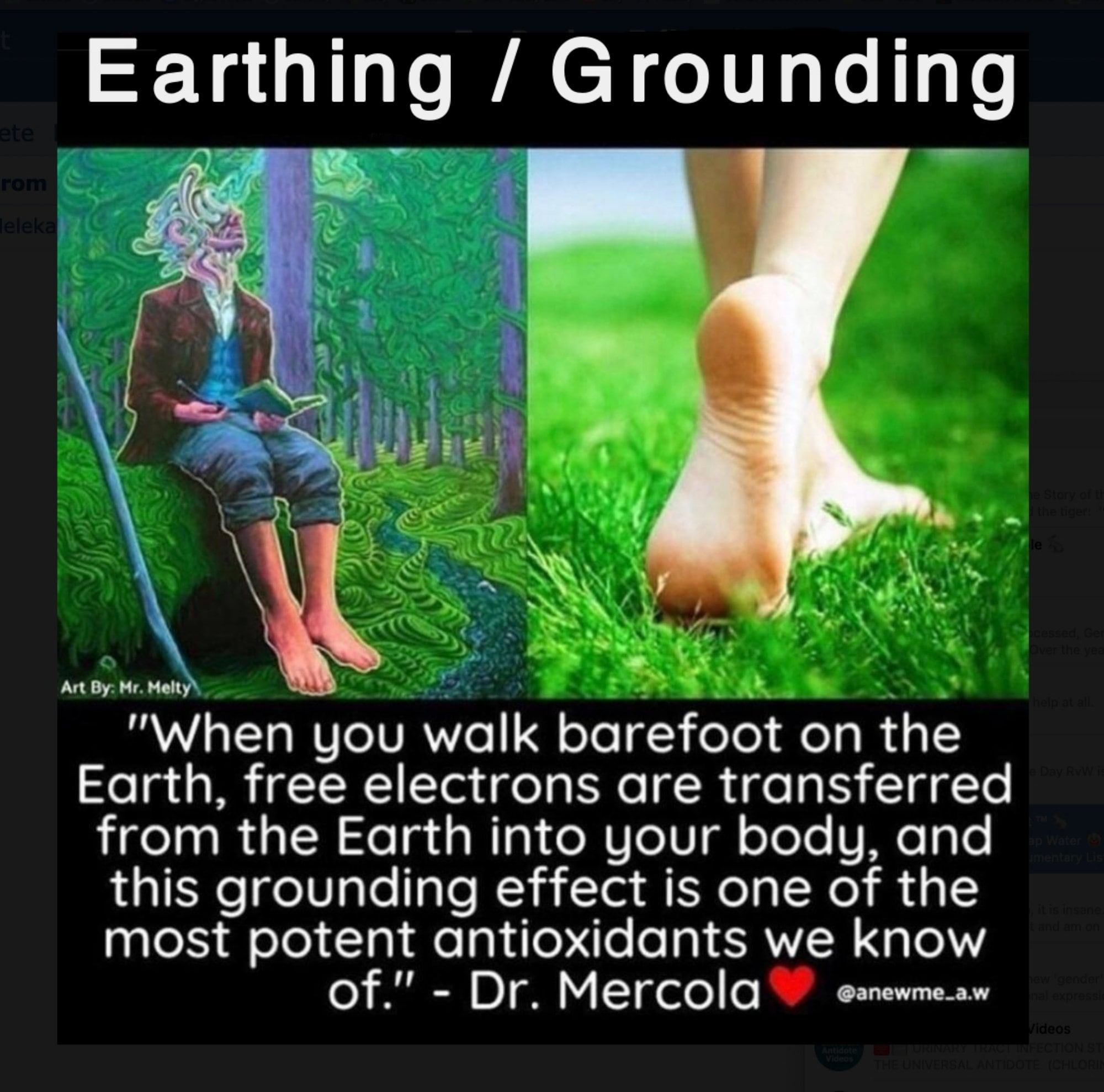 earthing-grounding-spike-attatchment-for-earthing-grounding-pad