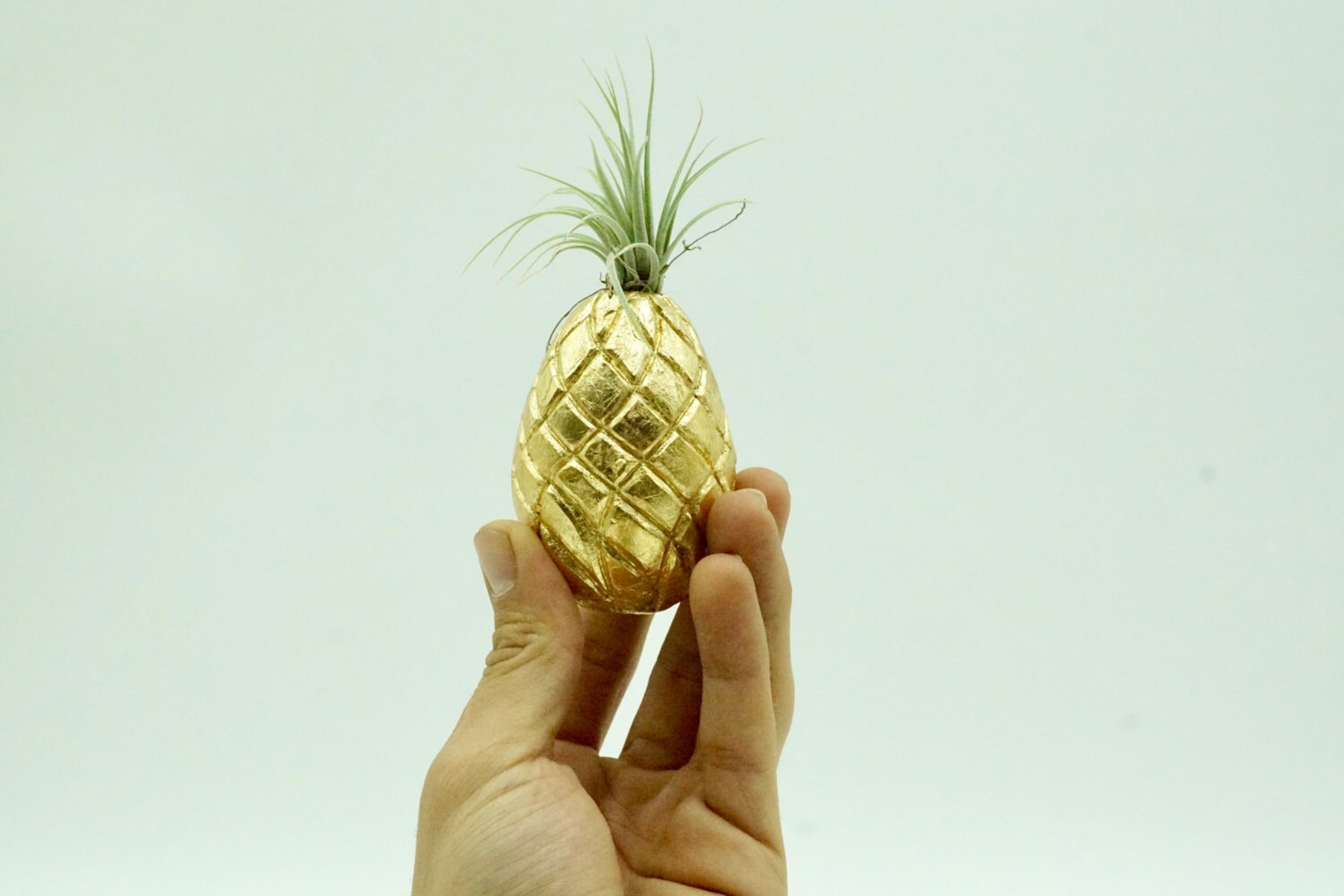Pineapple air plant holder air plant holder air plant Etsy