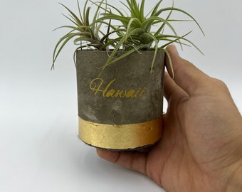 Concrete and gold leaf cylinder air plant holder / cylinder air plant pot / cylinder concrete vessels/ air plant / indoor planter