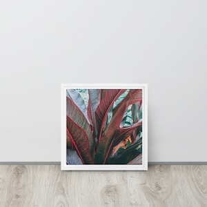 variegated Ti Leaf Photo canvas print, framed canvas