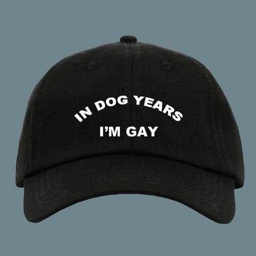 In Dog Years I'm Dead Hat Dad Hat Funny Hat Gifts Etsy