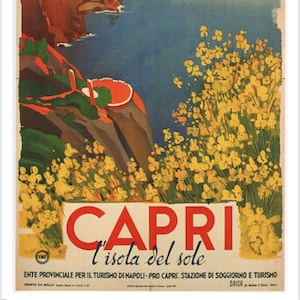 絵画 CARTUSIA CAPRI vintage poster 絵画 CARTUSIA CAPRI vintage poster 絵画 CARTUSIA CAPRI