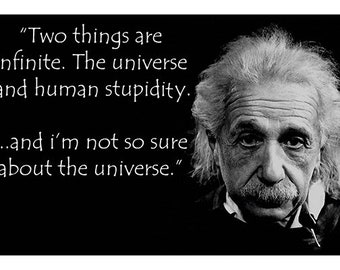 Stupidity Quotes Etsy