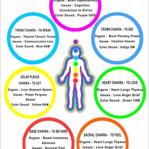 May include: A diagram of the seven chakras, with each chakra represented by a colored circle. The chakras are labeled with their names and associated organs, issues, and color sounds. The chakras are arranged in a vertical line, starting with the base chakra at the bottom and ending with the crown chakra at the top.