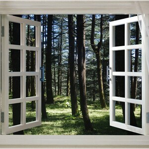 Decorative Open Window Into Scenic Picturesque Peaceful Dark Forest with Rays of Sunlight Poster