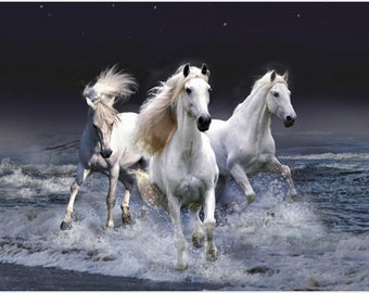 Decorative Beautiful White Stallion Horses Running In Surf Ocean Spray Poster