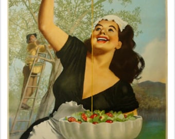 Decoratieve Europese Retro Art Olio Radino Italiaanse Vintage Advertisment Poster Olive Picker Feestelijke Salade