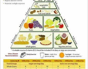 Dieta vegetariana para deportistas pdf