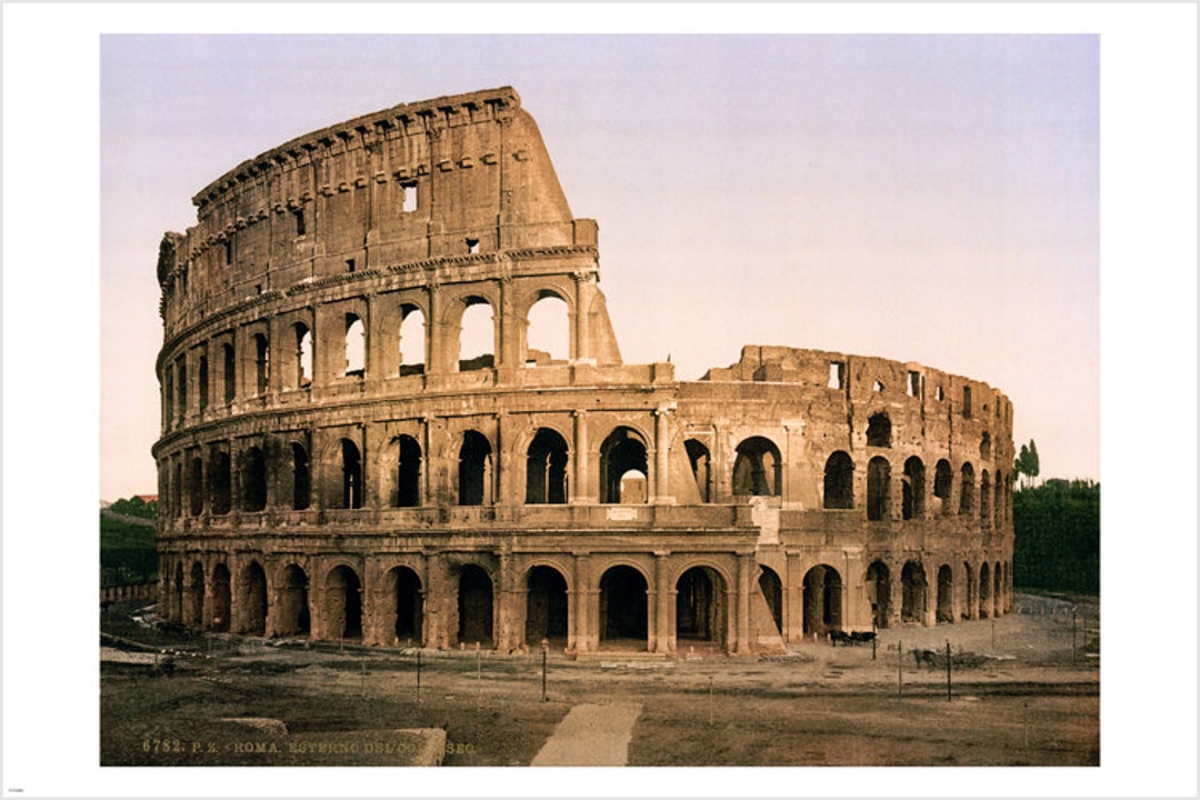 il_1080xN.999454889_rqp8.jpg