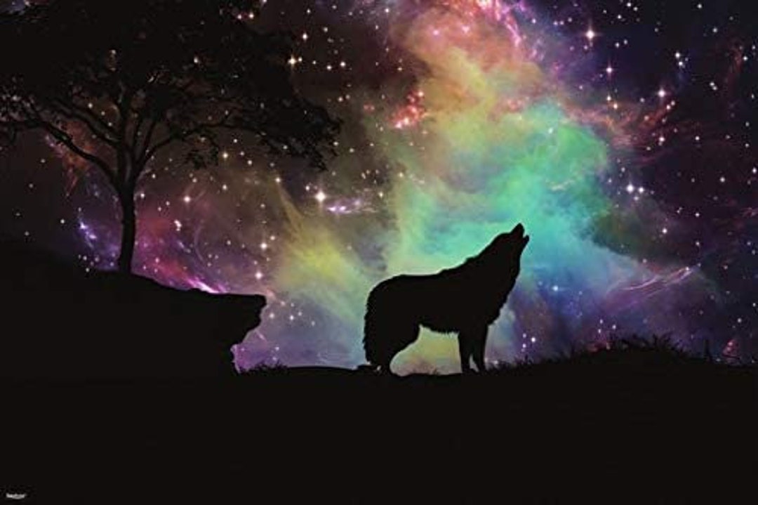 Wolf Silhouette 4K wallpaper  Wolf silhouette, Desktop wallpaper art,  Digital painting