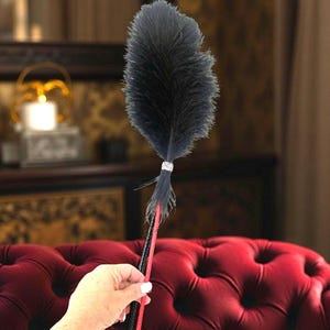 May include: A dark grey feather tickler featuring a long, slender handle with a red and black textured grip. The base of the fluffy, soft feathers is secured with a silver-toned, diamond-patterned metal band, creating a distinct contrast.