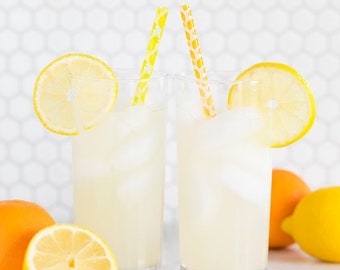 Lemon & Orange reusable straws / drinking straws/