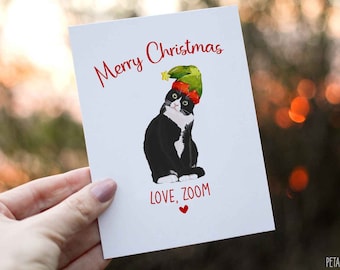 Cat Christmas Card, Tuxedo Cat Christmas Card From The Cat, Christmas Card For Cat Mom, Christmas Card For Cat Dad, From The Cat Christmas