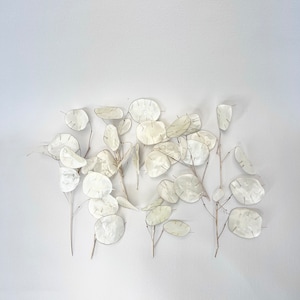 Dried tiny Lunaria Sprig, Dried Money Plant, Dried Silver Dollars Plant, Bouquet of dried Lunaria, Silver Dollar Leaves