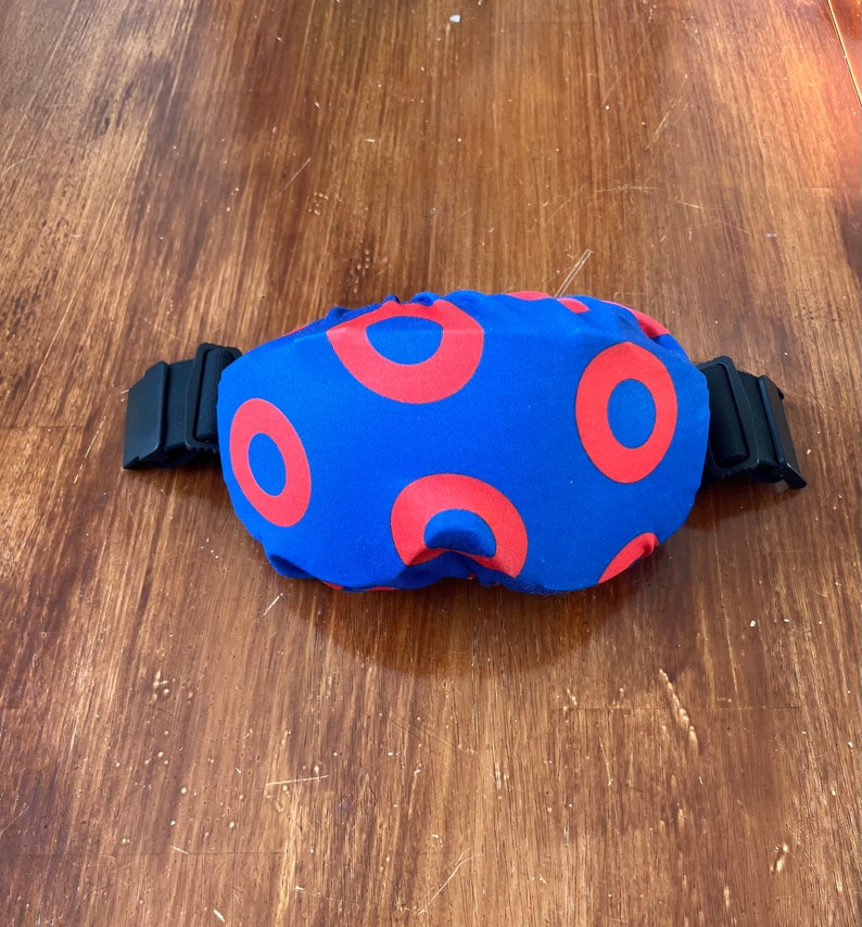 Ski Goggle Covers, Phish Fan Gear, Fishman image 6