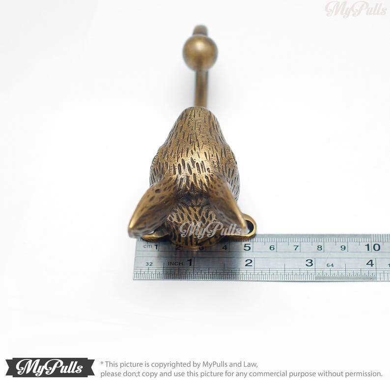 6.29 Inches Solid Brass Bunny Rabbit Animal Wall Hook Etsy