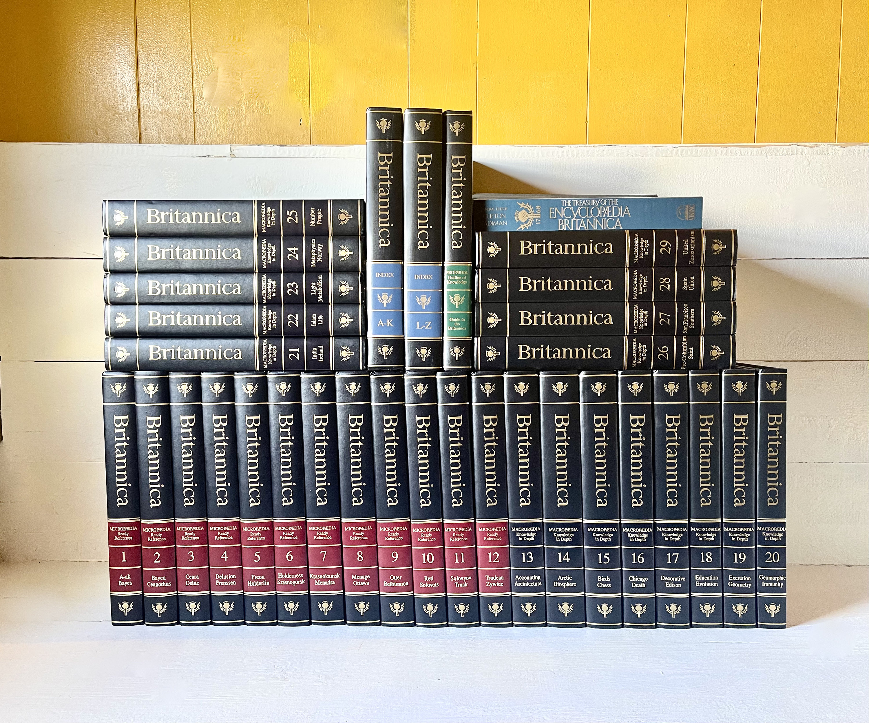 驚きの安さ Encyclopaedia LAST Britannica, Britannia Encyclopedia 2010 語学・辞書・学習参考書