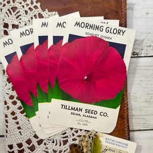 Pacotes de sementes de flores de glória da manhã vintage - conjunto vazio de 5 - decoração de festa, decoração de casa e casamento, arte de parede, jardinagem, lixo, diário