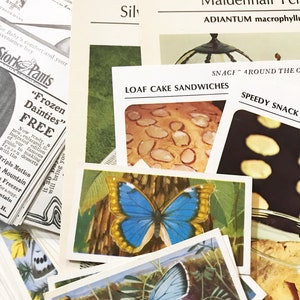 Kit de Efemérides Vintage. Suministro de diario basura. Tarjetas de planta. Tarjetas de receta. Tarjetas de cigarrillos. Tarjetas de felicitación.