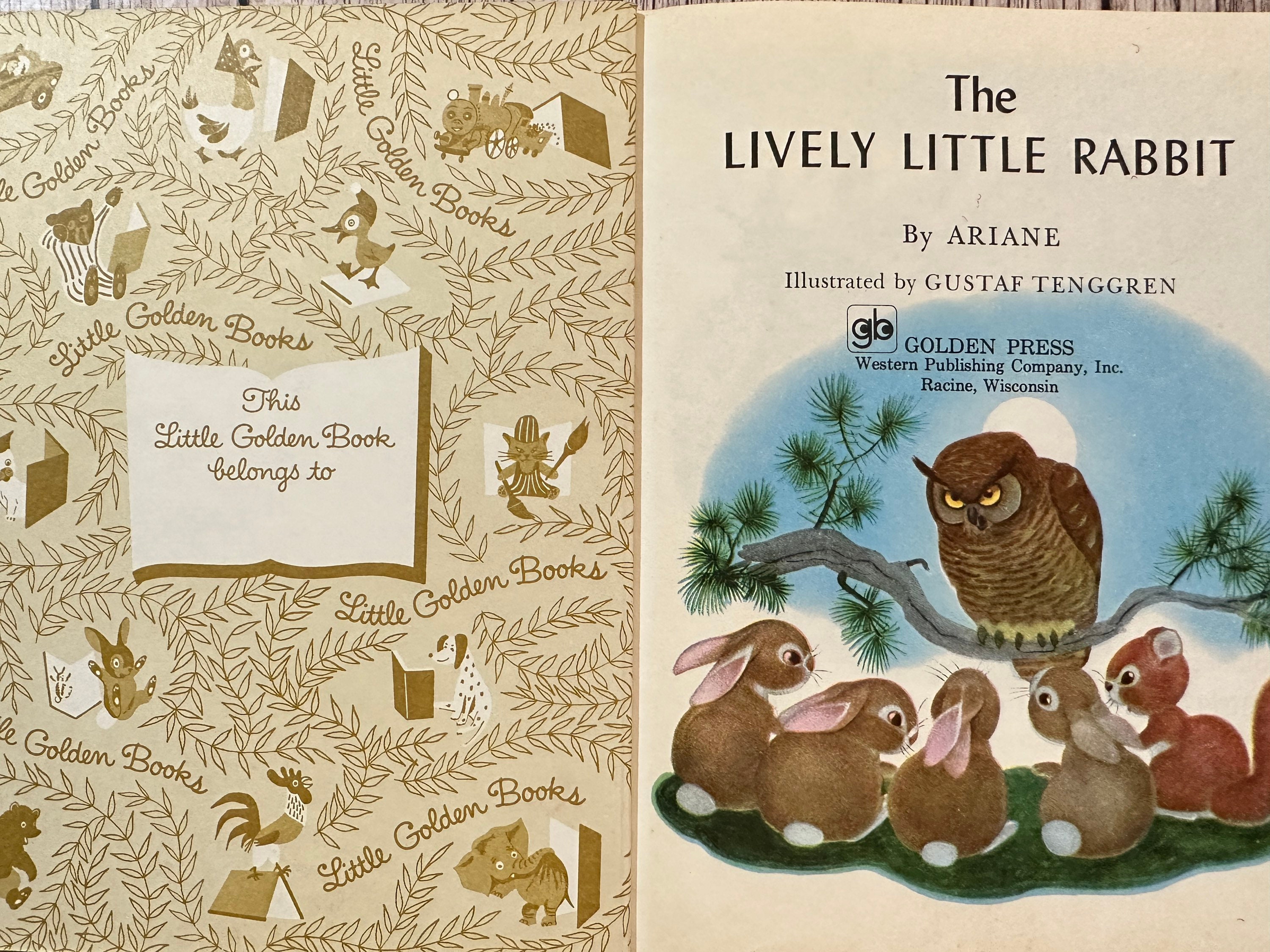 Rabbit Lively The Lively Little Rabbit, Vintage Children's Book - Etsy