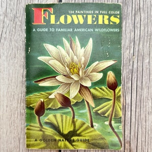 A Golden Nature Guide Book. Flowers. A Guide To Familiar American Wildflowers. Vintage Book.