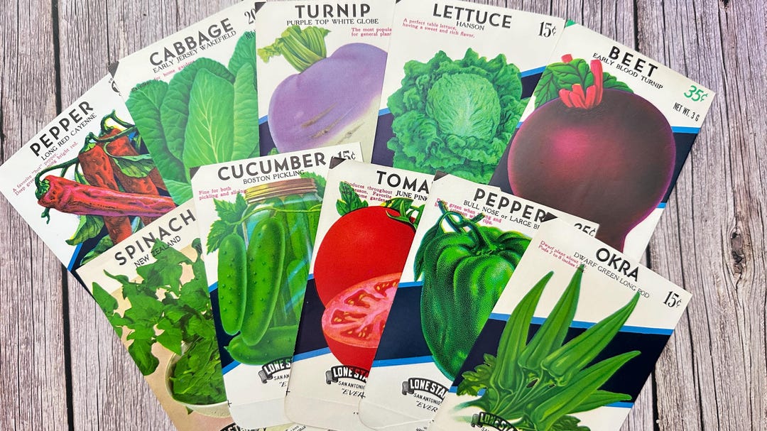 Vintage Vegetable Seed Packets: 1950s-70s Empty Set of 10 for Junk ...