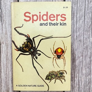 A Golden Nature Guide. Spiders And Their Kin. Vintage Book.