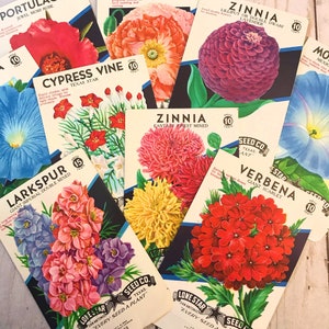 Lote de 10 pacotes de sementes de flores vintage - vazios - decoração de festa, decoração para casa e casamento, jardinagem, itens de diário de lixo