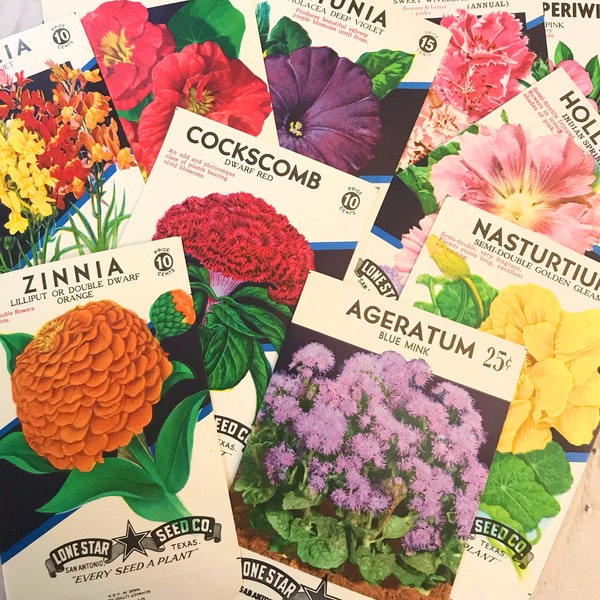 10 Vintage Flower Seed Packets. Empty. Vintage Ephemera. Gift For DIY Crafty Friend.