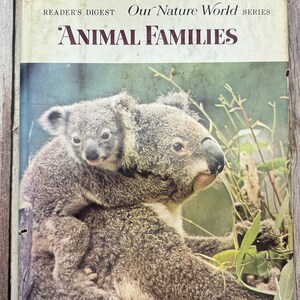 Op de afbeelding: Een vintage boekomslag met een moeder en baby koala. De omslag is getiteld "Animal Families" en maakt deel uit van de "Reader's Digest Our Nature World Series".