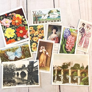 10 cartões vintage de cigarro/chá. Cartões de cigarro antigos. Cartões de chá. Cartões de cigarro de flores selvagens.