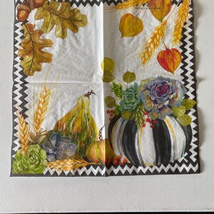 May include: A white paper napkin with a black and white chevron border. The napkin features a fall-themed design with gourds, wheat, leaves, and a black and white striped pumpkin.
