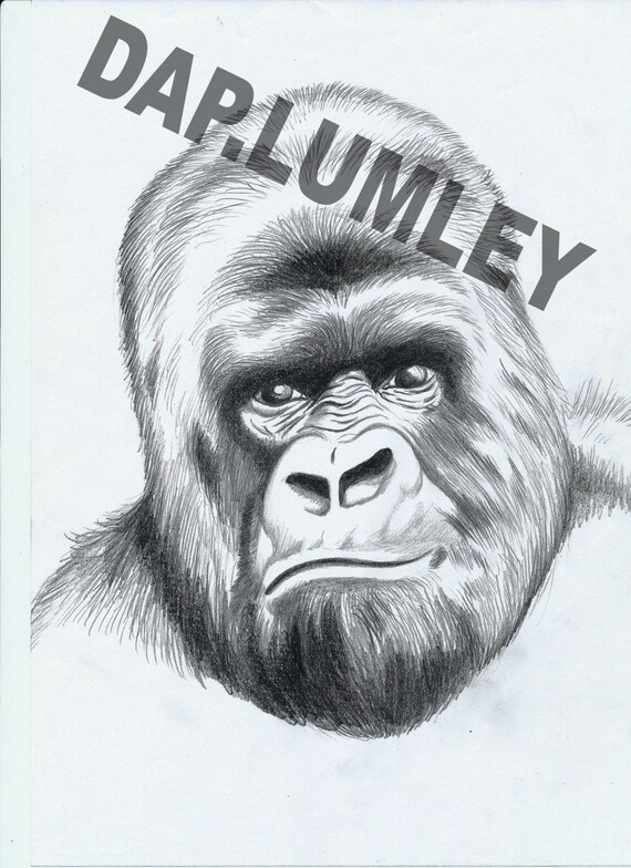 KiNG KONG digital print of original graphite pencil drawing | Etsy