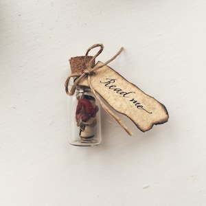 Pequeño pergamino en una pequeña botella en una caja de regalo con heno y sello de cera: caligrafía personalizada para nota de amor, nota de agradecimiento, propuesta sorpresa
