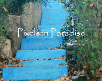BLUE Wall Art/ Summer Cottage decor/ Nature print/ 16 x 20 Print/ Tuscan decor/ Fine Art Photography/ Colorful Wall art/ Garden Paths