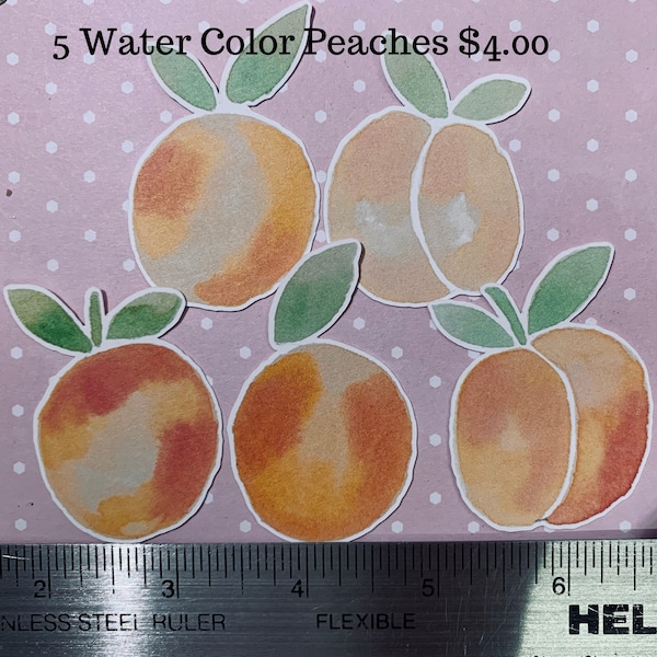 Retired Stampin' UP! Designer Series Paper Water Color Peaches Die Cuts
