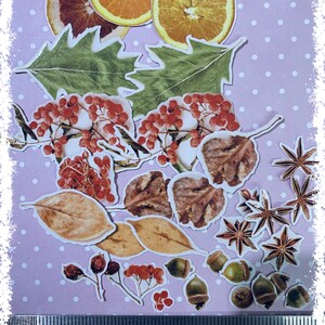 Photo real Orange Themed Die Cuts
