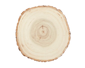 Holzscheibe groß 16-19 cm Pappelholz